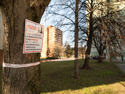 Konkrétne stromy sú označené | Zdroj: Mesto Trnava