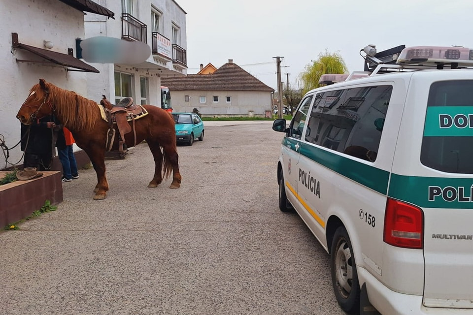 Spanilá jazda koňa má šťastný koniec. | Foto: KRPZ Trnava, fb