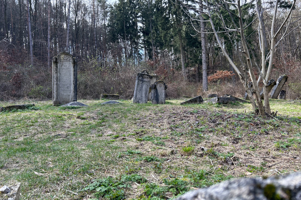 Hneď pri chodníčku nájdete židovský cintorín | Zdroj: Karin Talajková, Trnavské rádio