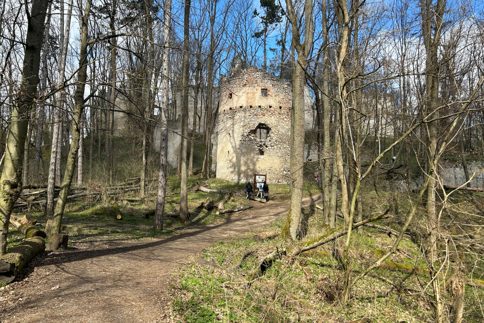 Prvé kontúry hradu v diaľke z chodníčka | Zdroj: Karin Talajková, Trnavské rádio