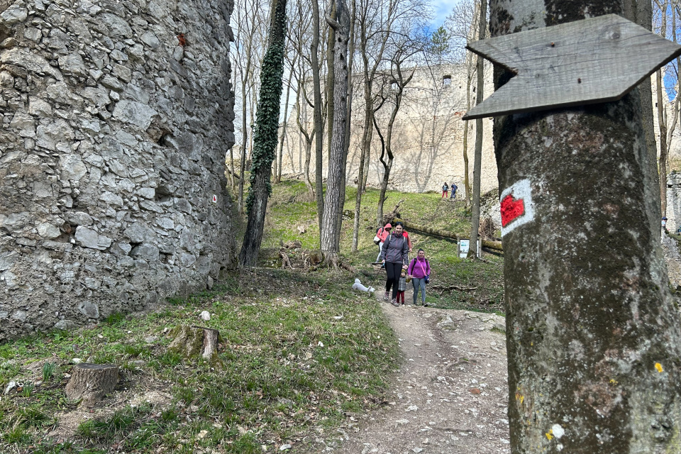 Chodník v okolí hradu | Zdroj: Karin Talajková, Trnavské rádio
