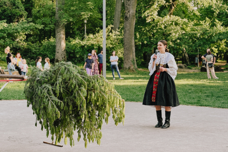 Zdobenie bolo rýchle | Foto: Zuzana Benková, Trnavské rádio