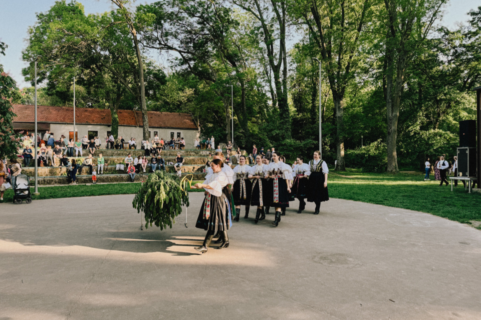 Zdobenie mája je súčasťou tradícií | Foto: Zuzana Benková, Trnavské rádio