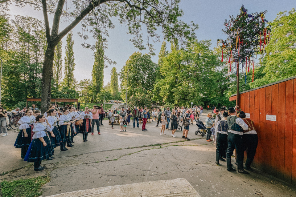 Celý proces sledovalo množstvo ľudí | Foto: Zuzana Benková, Trnavské rádio