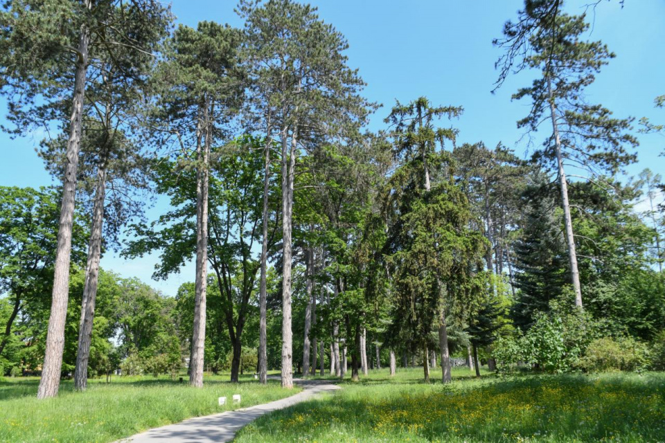 Do parku až popoludní | Foto: Mesto Piešťany