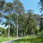 Do parku až popoludní | Foto: Mesto Piešťany