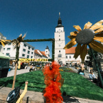Májový kvet v centre Trnavy. Na snímke prvý deň 9. mája 2024. | Foto: Dušan Vančo, Trnavské rádio