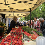 Zoženiete aj čerstvé ovocie a zeleninu | Foto: Alexandra Štofirová, Trnavské rádio 