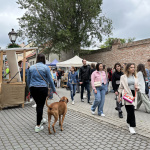 Centrum je zaplnené návštevníkmi a trhovníkmi | Foto: Alexandra Štofirová, Trnavské rádio 