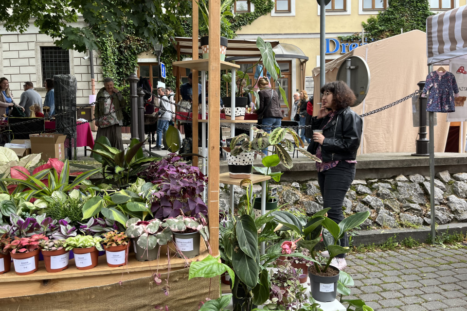 Niečo pre seba nájdu aj milovníci rastlín | Foto: Alexandra Štofirová, Trnavské rádio 