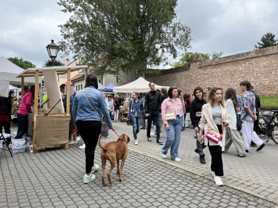 Centrum je zaplnené návštevníkmi a trhovníkmi | Foto: Alexandra Štofirová, Trnavské rádio 