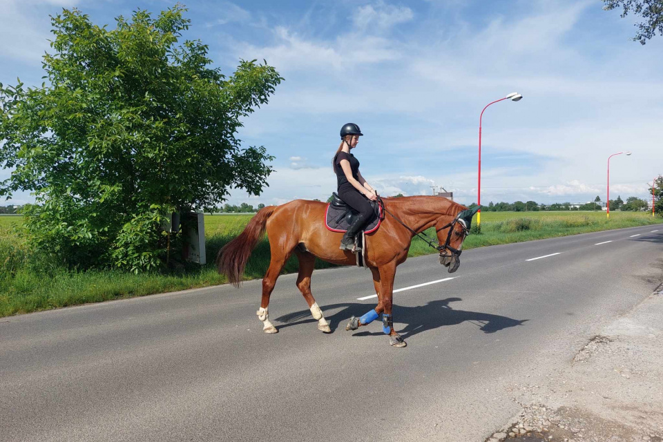 Jazdci na koňoch sa presúvajú po cestách v Trnavskom kraji | Foto: archív Kataríny Martinkovičovej