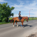 Jazdci na koňoch sa presúvajú po cestách v Trnavskom kraji | Foto: archív Kataríny Martinkovičovej