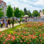 Deň detí a starých rodičov v Trnave v Ružovom parku a na Námestí SNP. | Foto: dv, red.