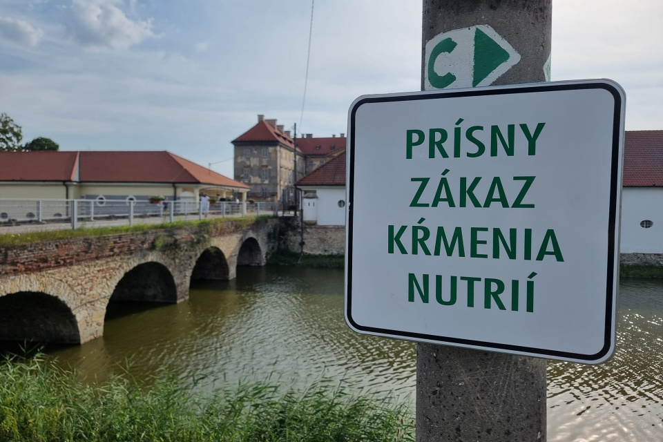 Nutrie sa pohybujú v okolí zámku | Foto: Fb  Mesto Holíč