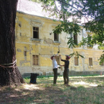 Arboristi pri práci | Zdroj: Zuzana Slahučková