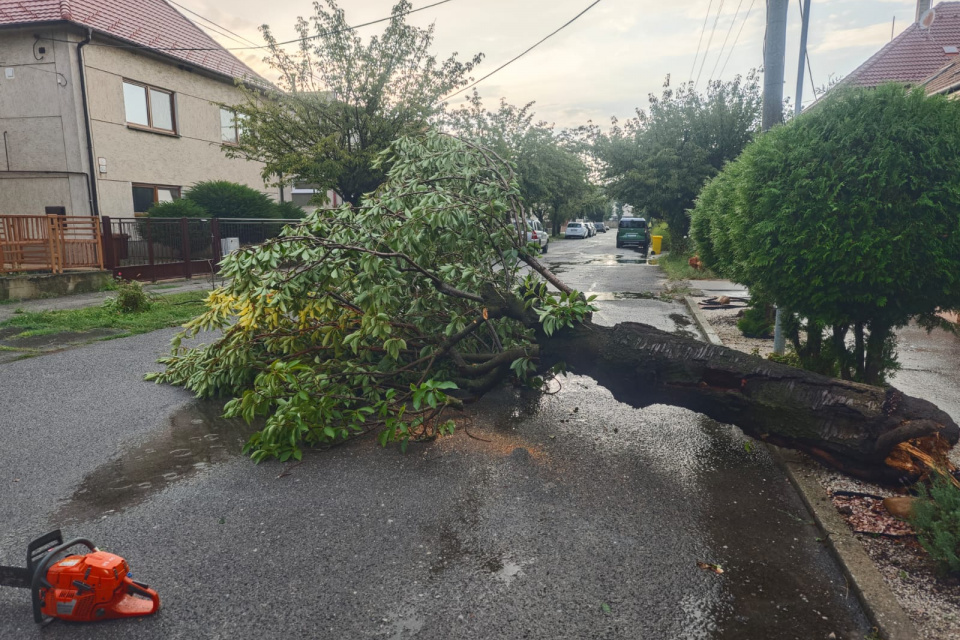 Odstraňovali popadané stromy | Zdroj: Krajské riaditeľstvo HaZZ v Trnave