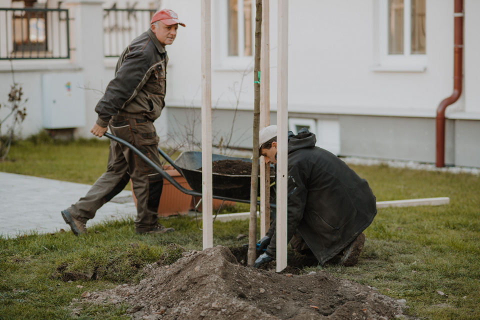 Zopakuje sa projekt Strom do domu v Trnave | Zdroj: Fb Peter Bročka