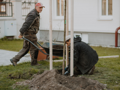 Zopakuje sa projekt Strom do domu v Trnave | Zdroj: Fb Peter Bročka