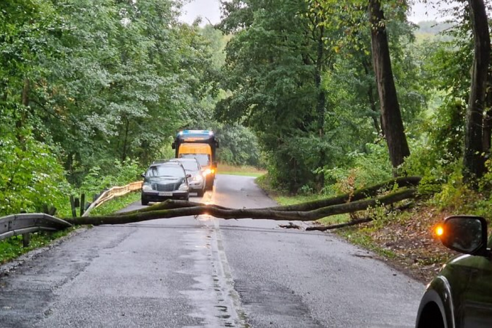 Spadnutý strom na trase Dobrá Voda - Dechtice | Zdroj: Hasiči Dobrá Voda