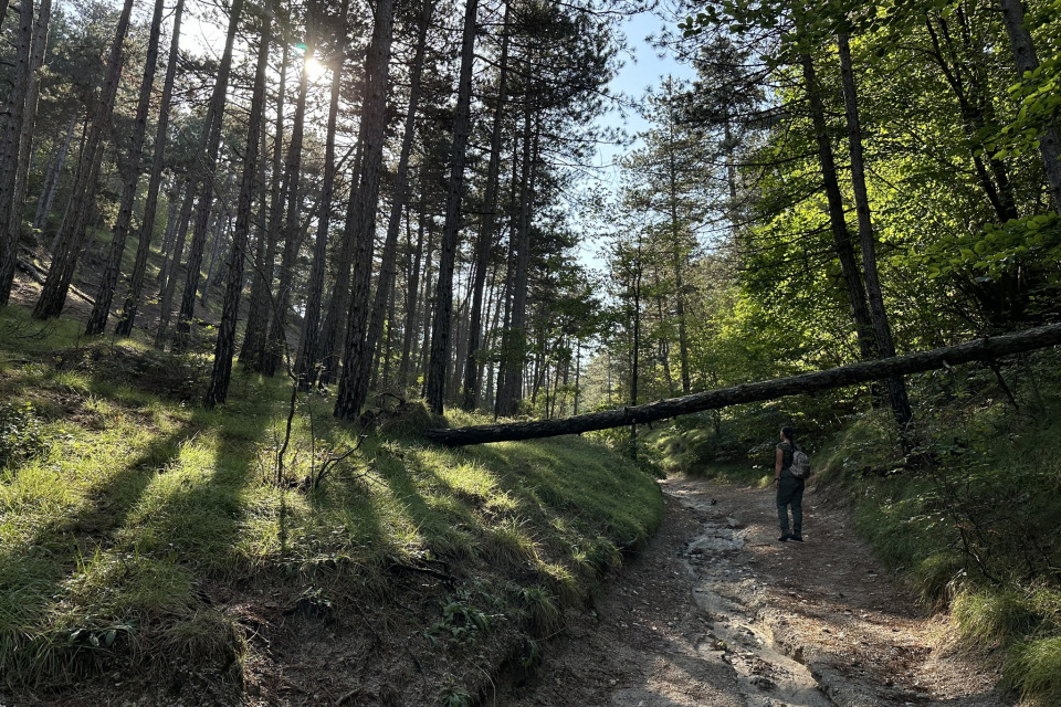 Turistický chodníček cez Bielu horu | Zdroj: CHKO Malé Karpaty / Alexander Lačný