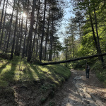 Turistický chodníček cez Bielu horu | Zdroj: CHKO Malé Karpaty / Alexander Lačný