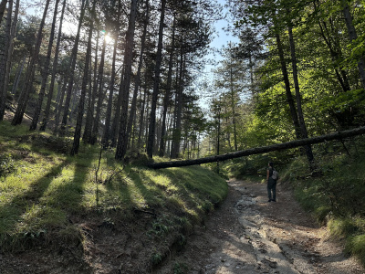 Turistický chodníček cez Bielu horu | Zdroj: CHKO Malé Karpaty / Alexander Lačný