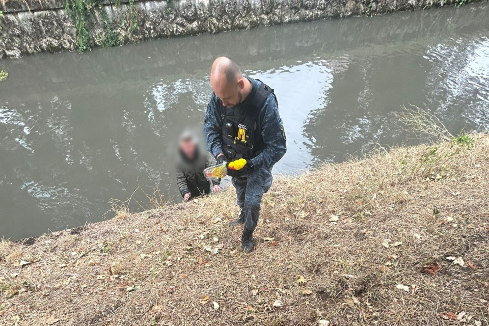 Fotografia zo zásahu | Zdroj: Mestská polícia Trnava