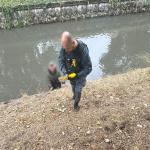 Fotografia zo zásahu | Zdroj: Mestská polícia Trnava