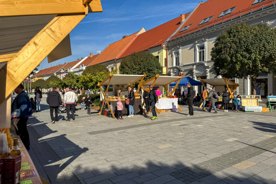 Včelársky festival v Trnave. | Foto: red.