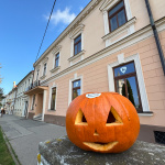 Takto čakal tekvica na svojho prvého majiteľa | Foto: dv, Trnavské rádio