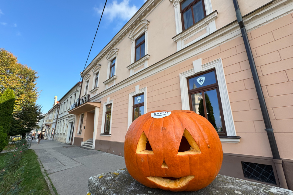 Takto čakal tekvica na svojho prvého majiteľa | Foto: dv, Trnavské rádio