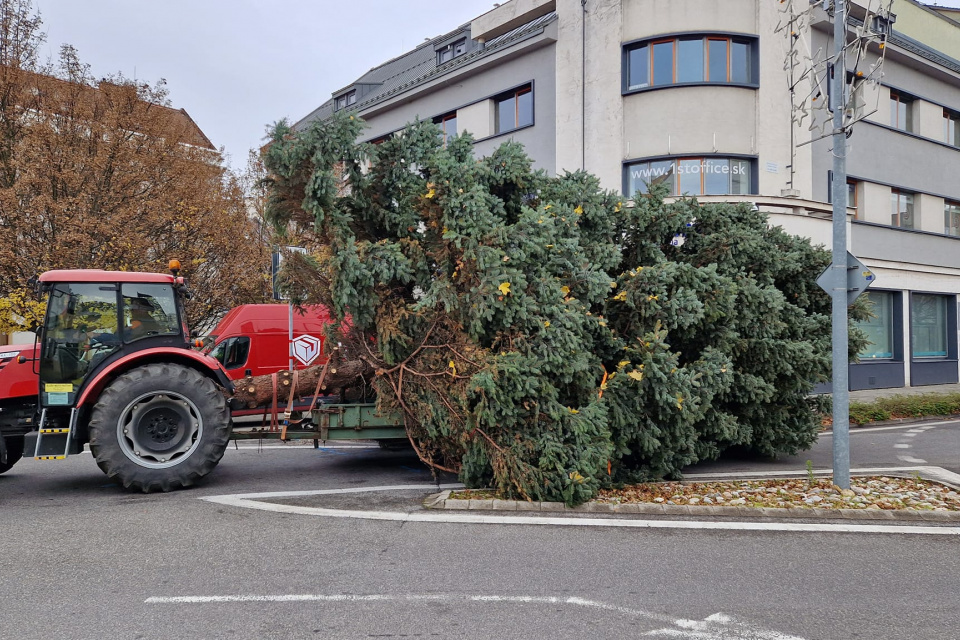 Takto ho mohli vidieť Piešťanci v centre mesta | Zdroj: Mesto Piešťany 