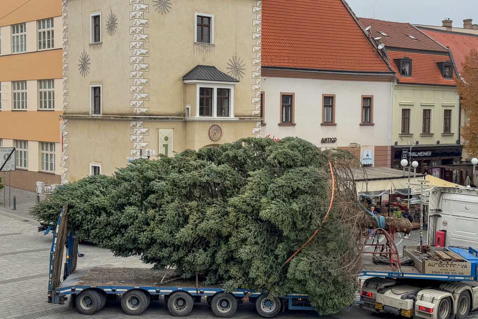 Do Trnavy už dorazil nový vianočný stromček | Foto: dv, Trnavské rádio