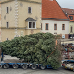 Do Trnavy už dorazil nový vianočný stromček | Foto: dv, Trnavské rádio