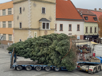 Do Trnavy už dorazil nový vianočný stromček | Foto: dv, Trnavské rádio