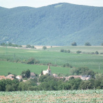 Pohľad na obec | Zdroj: Obec Boleráz