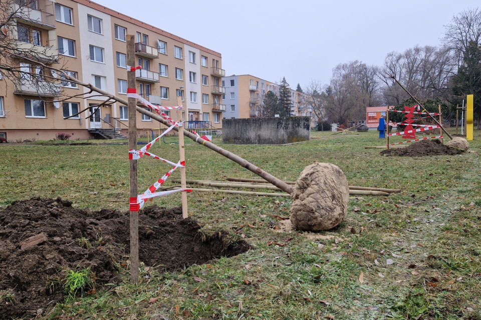 Piešťany budú zelenšie | Zdroj: Mesto Piešťany