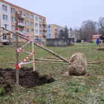 Piešťany budú zelenšie | Zdroj: Mesto Piešťany