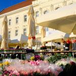 Prvé tulipány na trhu v Trnave. | Foto: dv, Trnavské rádio