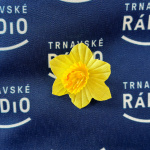 Narcis si pripne aj Trnavské rádio | Foto: Pavol Holý