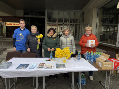 Na námestí vám narcis pripnú dobrovoľníci z trnavskej pobočky Ligy proti rakovine | Foto: Michaela Martišíková, Trnavské rádio