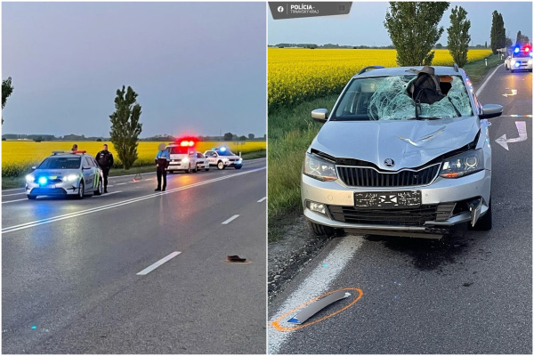 Šofér bol triezvy. Či aj chodec, určí vyšetrovanie. | Foto: PZSR