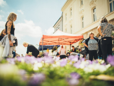 Mestá v kraji chytajú velké kvetinové podujatia | Foto: Marek Martinek (Zaži v Trnave)