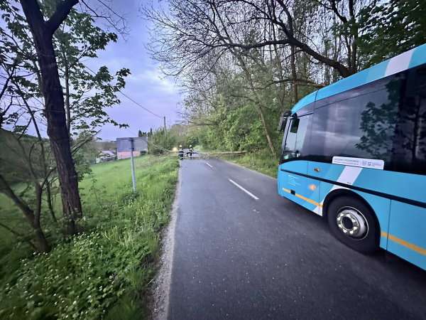 Cestu uvoľnili štyria dobrovoľní hasiči. | Foto: DHZ Vrbové