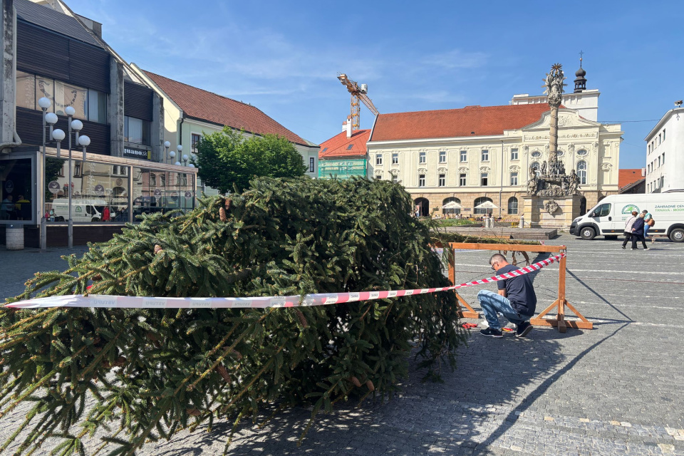 Máj už pripravujú na Trojičnom námestí | Foto: Zuzana Benková, Trnavské rádio