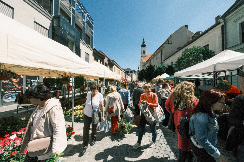 Blíži sa aj Májový kvet | Foto: dv, Trnavské rádio