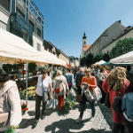 Blíži sa aj Májový kvet | Foto: dv, Trnavské rádio