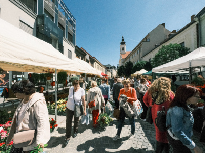 Blíži sa aj Májový kvet | Foto: dv, Trnavské rádio