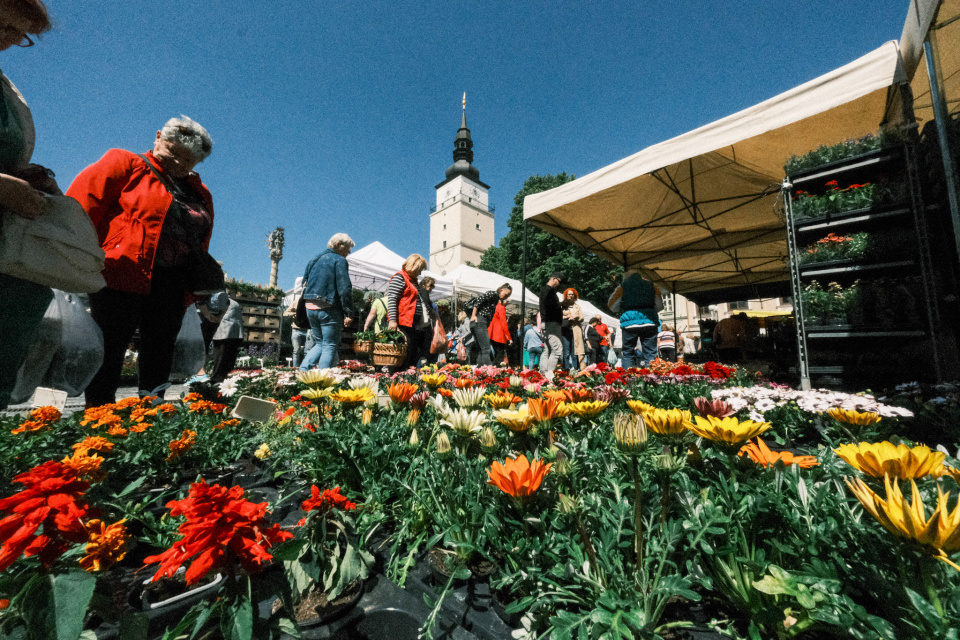Kam ven v Trnave? Na Májový kvet v Trnave! | Foto: Pavol Holý, Trnavské rádio